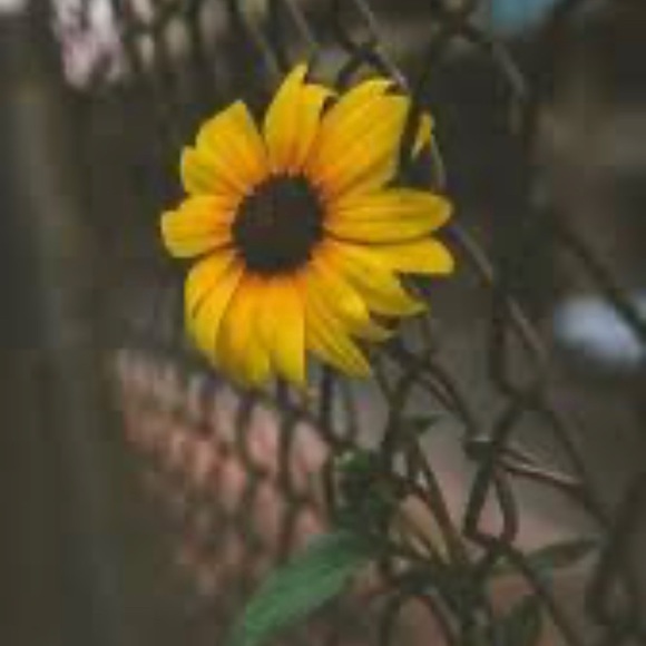 daniela_123270
